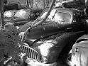 Autofriedhof - 185